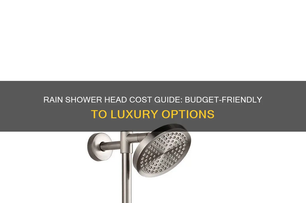 how much does a rain shower head cost