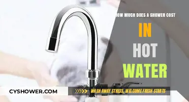 Shower Costs Unveiled: Hot Water Expenses and Energy Savings Tips
