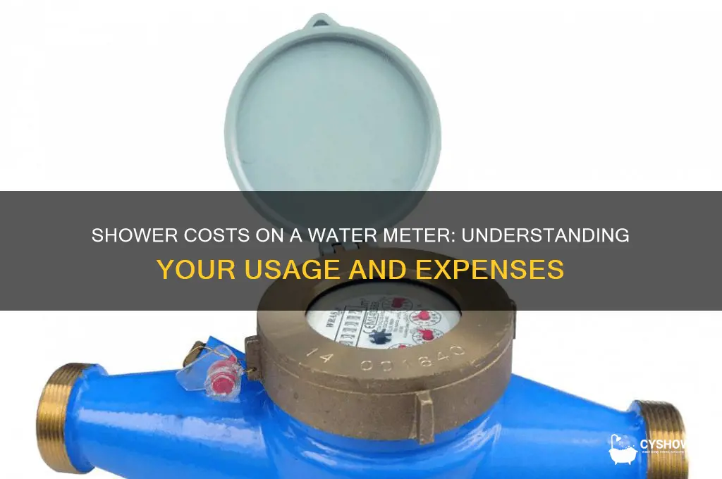 how much does a shower cost on a water meter