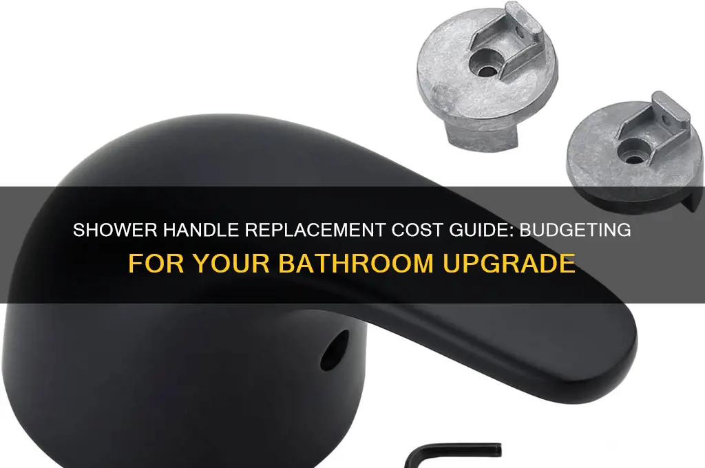 how much does a shower handle replacement cost