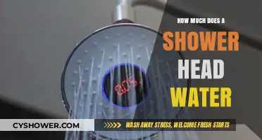 How Much Water Does Your Shower Head Consume Daily?