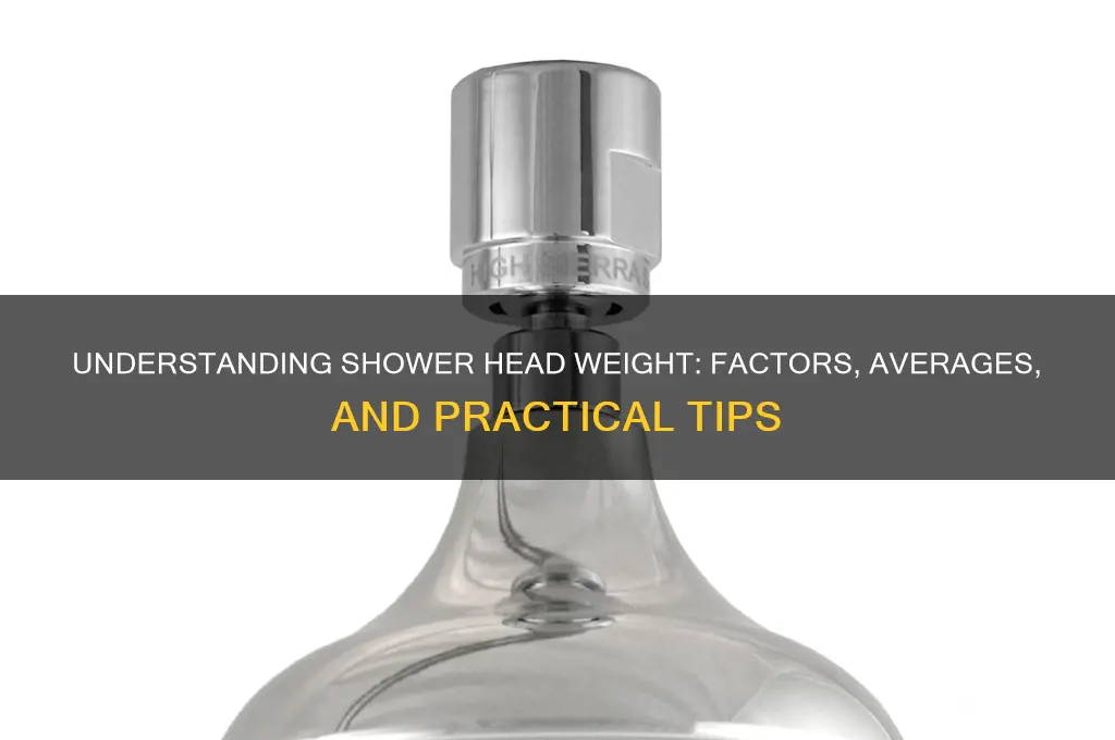 how much does a shower head weigh