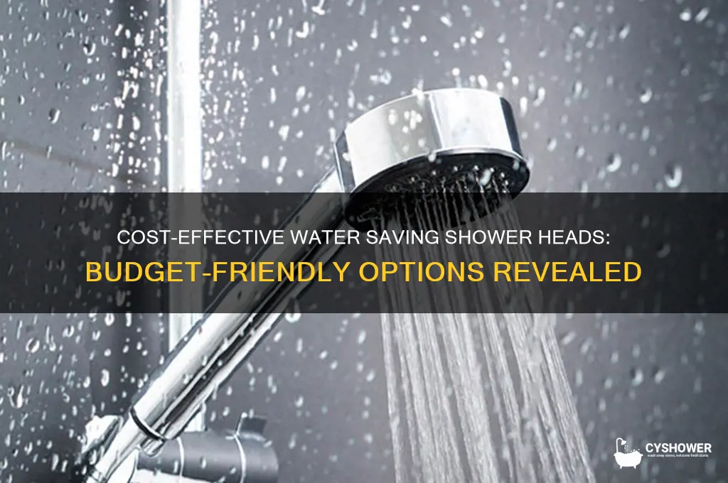 how much does a water saving shower head cost
