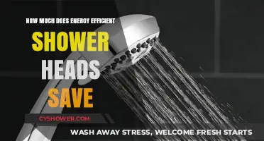 Save Water and Money: The Benefits of Energy-Efficient Shower Heads