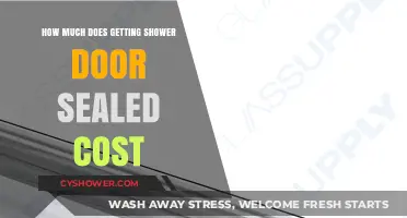 Shower Door Sealing Cost: What to Expect for a Watertight Bathroom