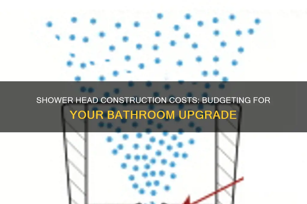 how much does it cost to build a shower head
