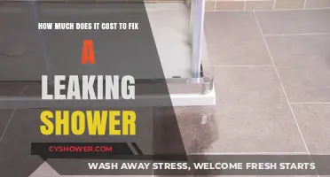 Fixing a Leaking Shower: Understanding Repair Costs and Budgeting Tips