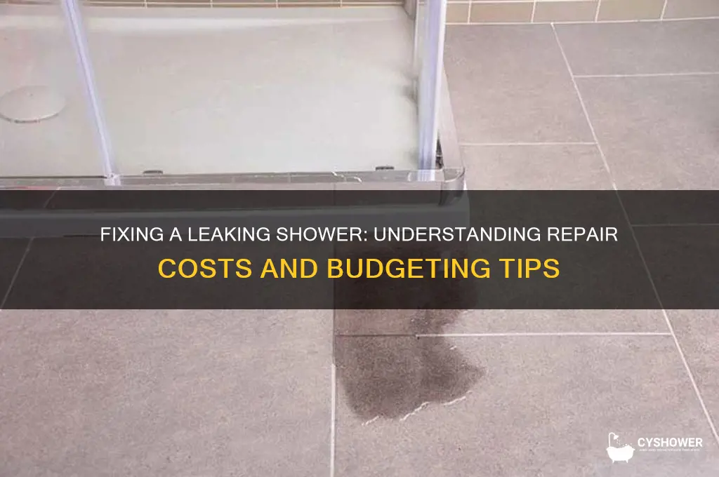 how much does it cost to fix a leaking shower
