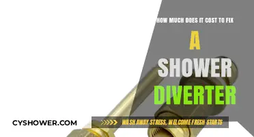 Shower Diverter Repair Costs: What to Expect for Your Fix