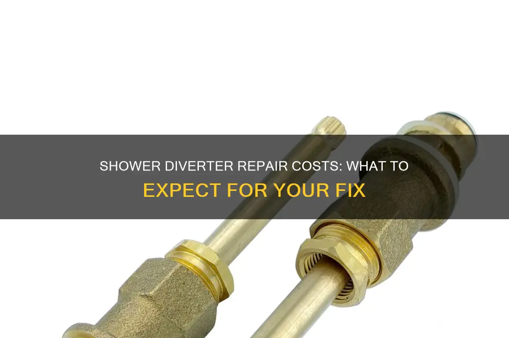 how much does it cost to fix a shower diverter