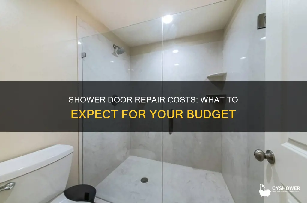 how much does it cost to fix a shower door