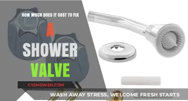 Shower Valve Repair Costs: What to Expect for Your Bathroom Fix