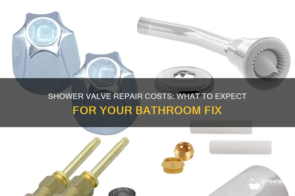 how much does it cost to fix a shower valve