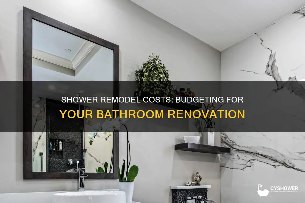 how much does it cost to get a shower redone