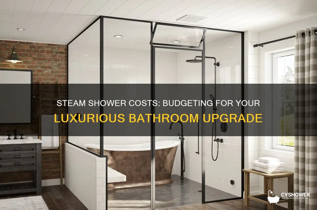 how much does it cost to get a steam shower