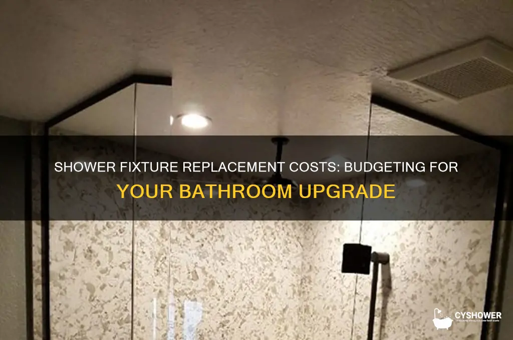 how much does it cost to get new shower fixtures