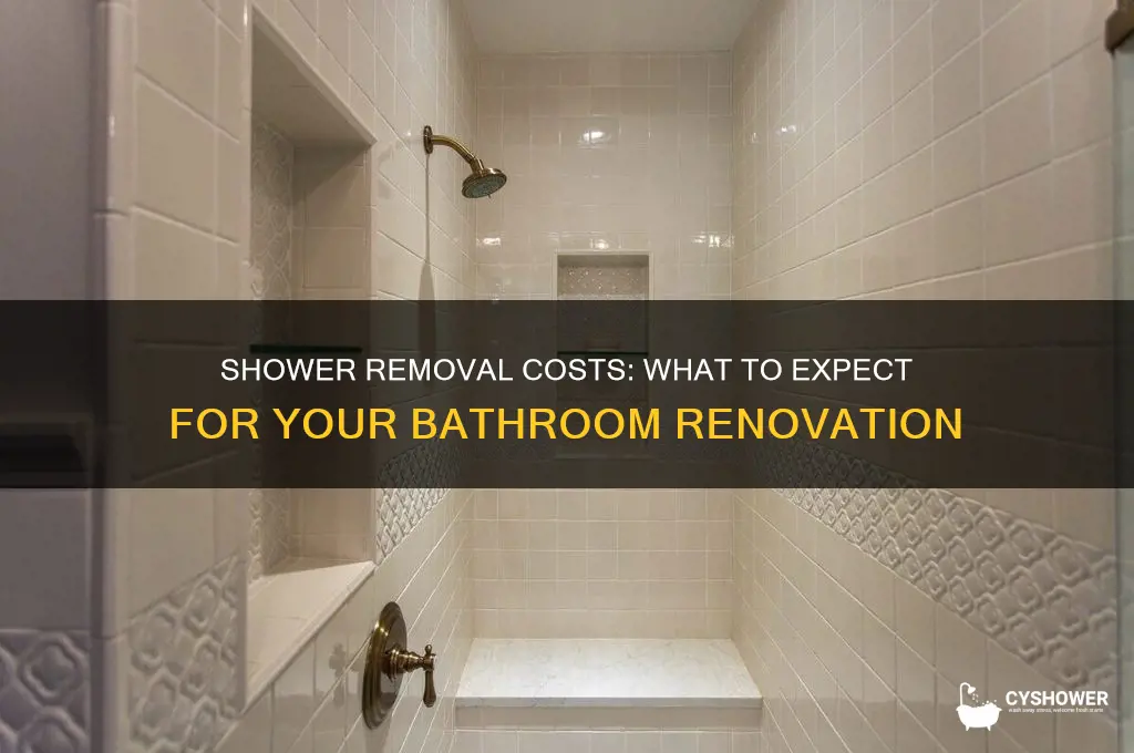 how much does it cost to have a shower removed