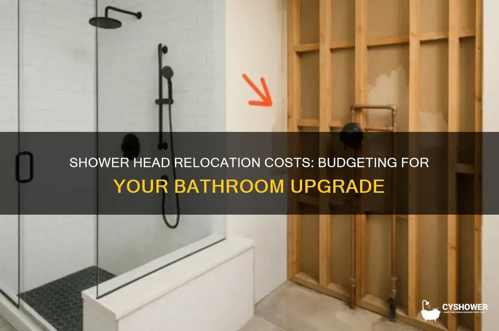 how much does it cost to move shower head
