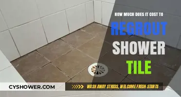Shower Tile Regrouting Costs: What to Expect for Your Bathroom Refresh