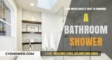 Revamping Your Shower Space: A Cost Breakdown for Bathroom Remodels