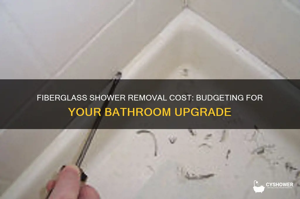 how much does it cost to remove a fiberglass shower