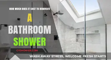 Revamping Your Shower: A Cost Breakdown for Bathroom Renovations