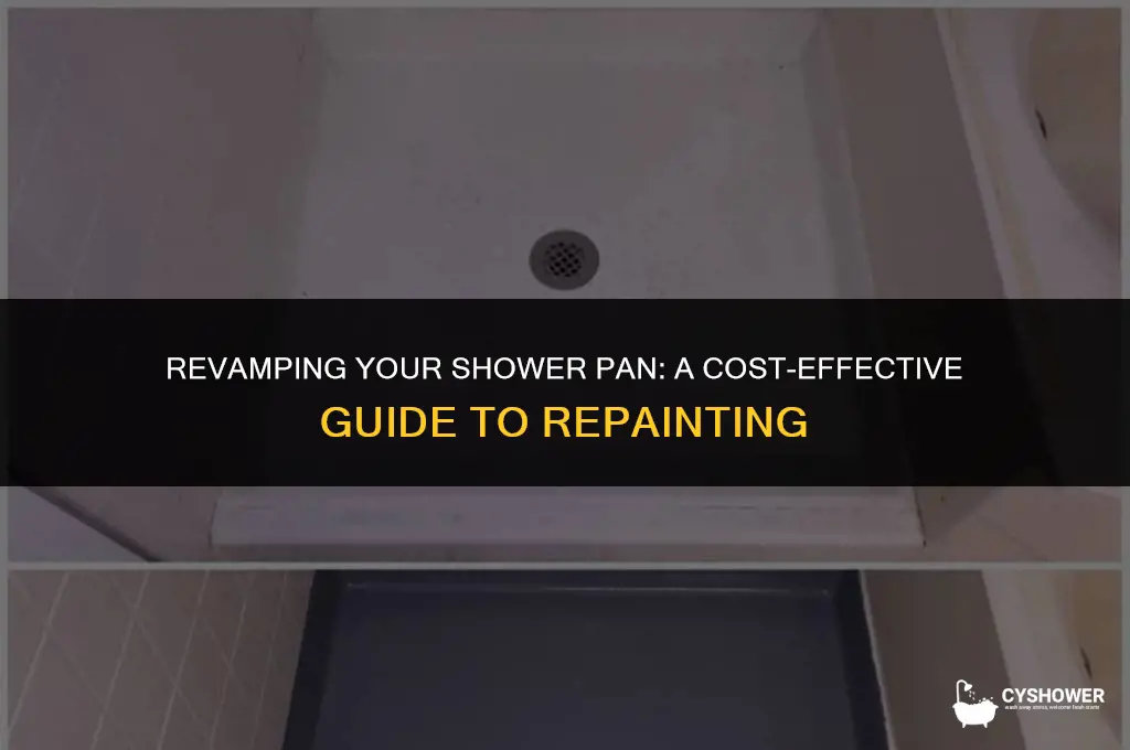 how much does it cost to repaint shower pan