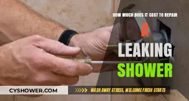 Fixing a Leaky Shower: Budget-Friendly Tips and Tricks