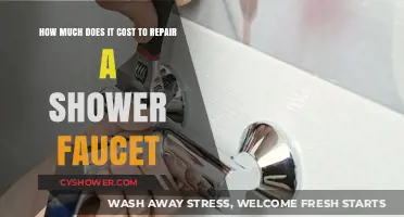 Exploring the Expenses: Shower Faucet Repairs Cost Breakdown