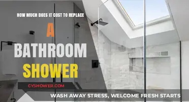 Revamping Your Shower: A Cost Breakdown for Bathroom Renovations