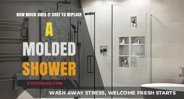 Replacing a Molded Shower: Understanding the Costs and Budgeting Tips