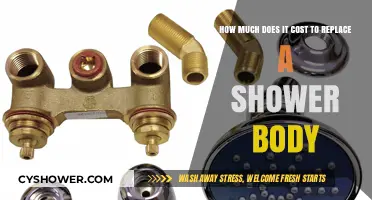 Shower Body Replacement Costs: What to Expect for Your Bathroom Upgrade