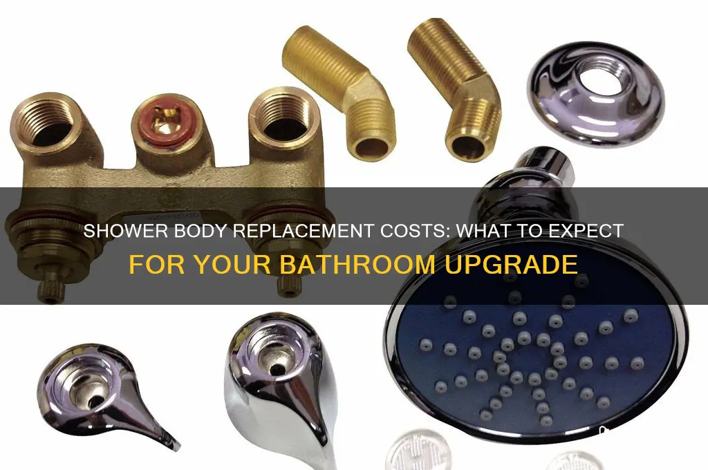 how much does it cost to replace a shower body