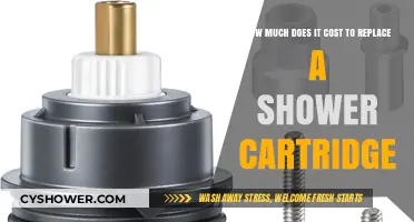 Shower Cartridge Replacement Cost Guide: Budgeting for Your Bathroom Upgrade