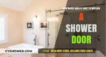 Shower Door Replacement Costs: What to Expect for Your Budget