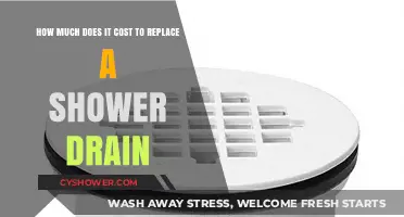 Shower Drain Replacement Cost: Budgeting for a Smooth Bathroom Upgrade