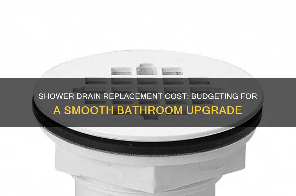 how much does it cost to replace a shower drain