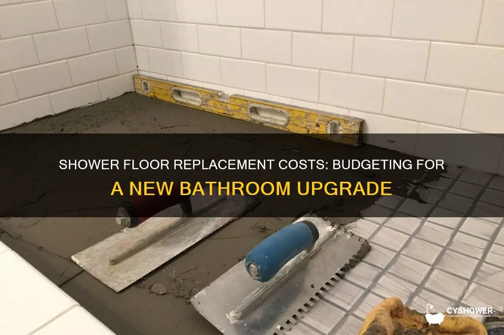 how much does it cost to replace a shower floor
