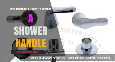 Exploring the Expense: Replacing Your Shower Handle