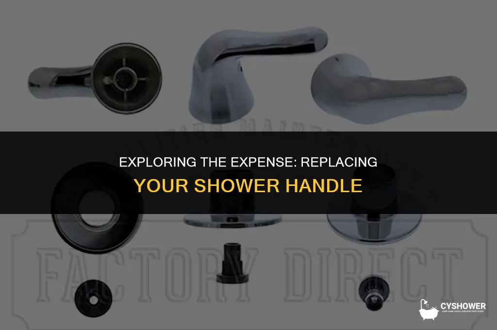 how much does it cost to replace a shower handle