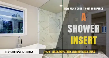 Shower Insert Replacement Costs: Budgeting for Your Bathroom Upgrade