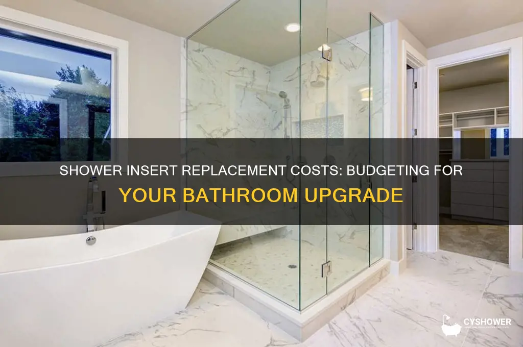 how much does it cost to replace a shower insert