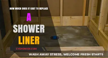 Shower Liner Replacement Costs: Budgeting for a Fresh Bathroom Upgrade