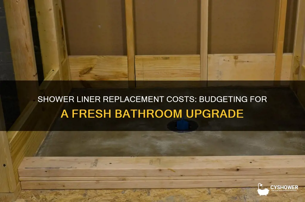 how much does it cost to replace a shower liner