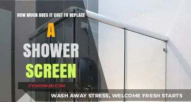 Shower Screen Replacement Costs: What to Expect and Budget For