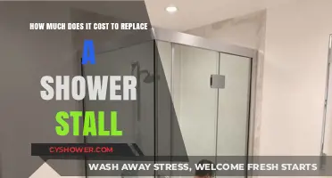 Shower Stall Replacement Costs: What to Expect and Budget For
