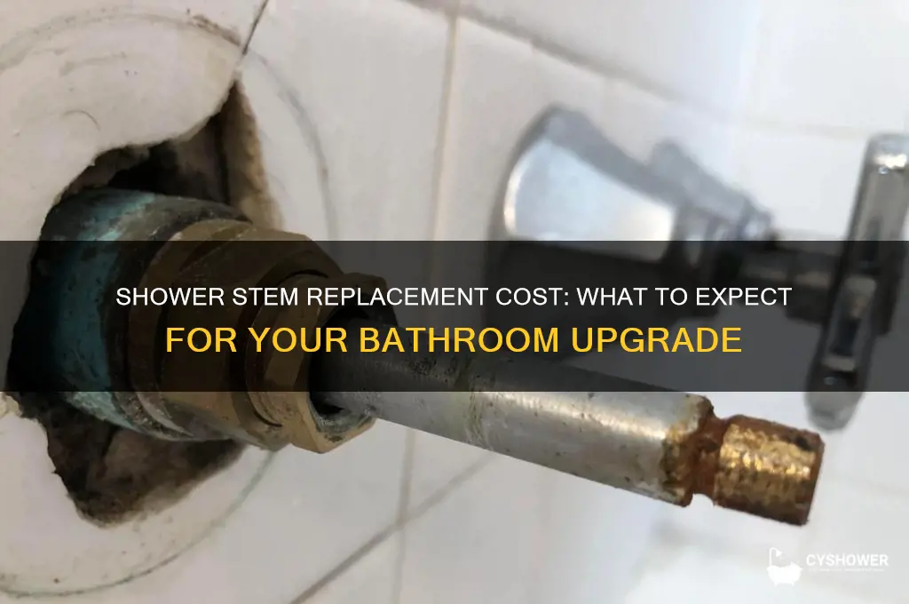how much does it cost to replace a shower stem