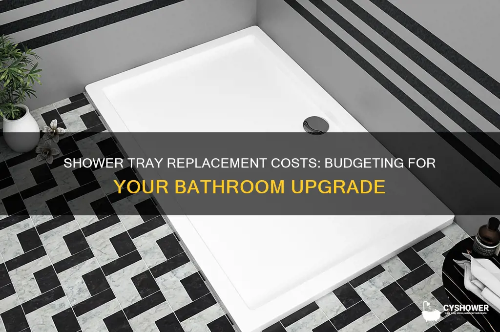 how much does it cost to replace a shower tray