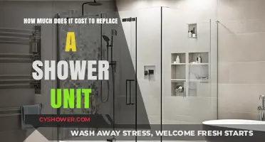 Shower Unit Replacement Costs: What to Expect and Budget For