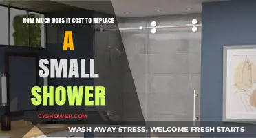 Small Shower Replacement Costs: Budgeting for Your Bathroom Upgrade